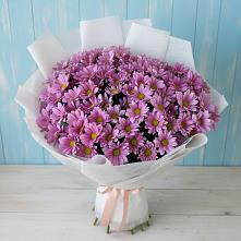 Букет цветов из:  Хризантемы #REPLACE_PRED# Нерчинске