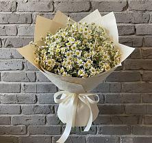 Букет цветов из:  Ромашки #REPLACE_PRED# Нерчинске