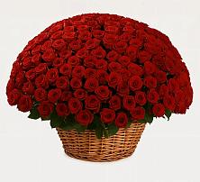 Премиум букет из: Розы #REPLACE_PRED# Нерчинске